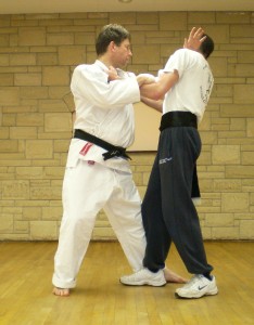photo of Karate kata bunkai